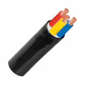 Cadivi-Dây điện CVV 3x10 [300/500V]